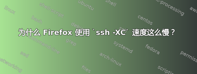 为什么 Firefox 使用 `ssh -XC` 速度这么慢？