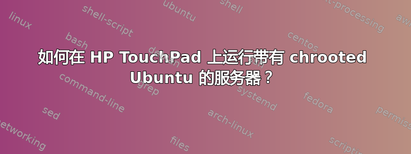 如何在 HP TouchPad 上运行带有 chrooted Ubuntu 的服务器？