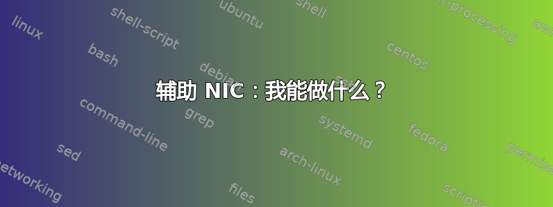 辅助 NIC：我能做什么？