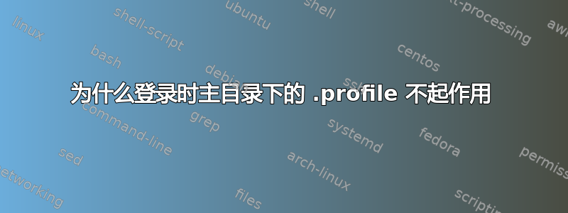 为什么登录时主目录下的 .profile 不起作用