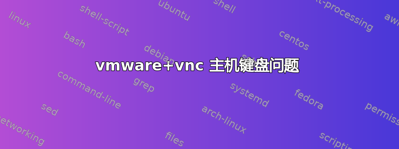 vmware+vnc 主机键盘问题