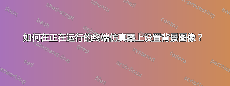 如何在正在运行的终端仿真器上设置背景图像？