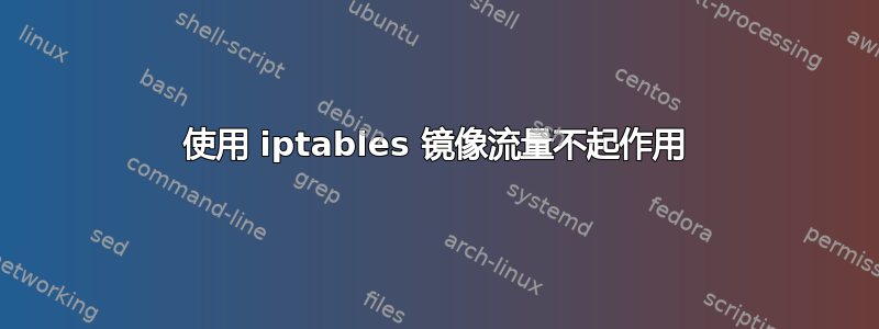 使用 iptables 镜像流量不起作用