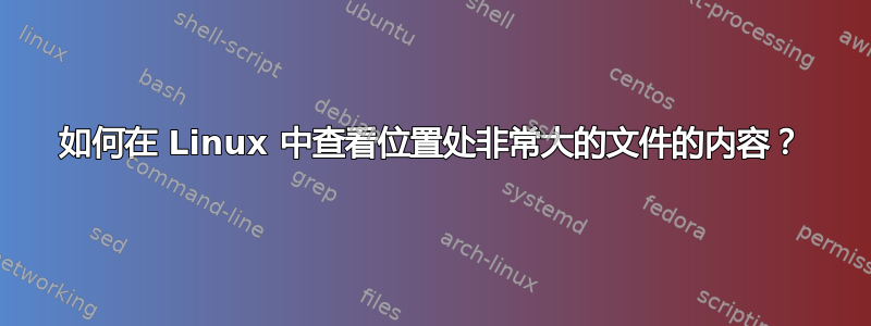 如何在 Linux 中查看位置处非常大的文件的内容？