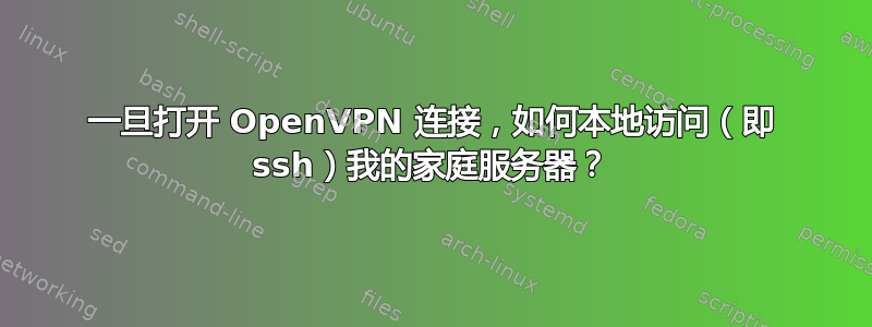 一旦打开 OpenVPN 连接，如何本地访问（即 ssh）我的家庭服务器？