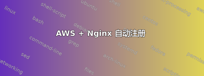 AWS + Nginx 自动注册