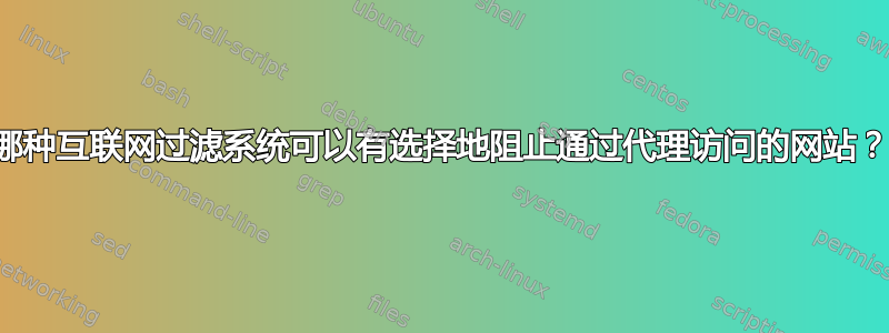 哪种互联网过滤系统可以有选择地阻止通过代理访问的网站？