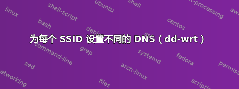 为每个 SSID 设置不同的 DNS（dd-wrt）