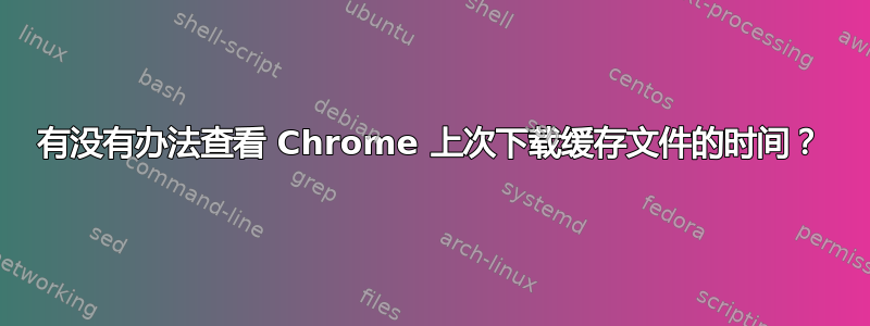 有没有办法查看 Chrome 上次下载缓存文件的时间？