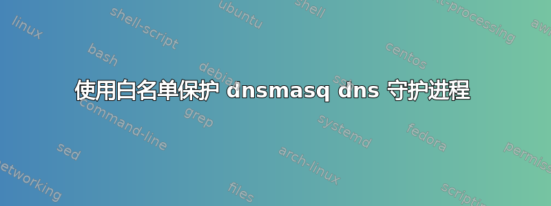 使用白名单保护 dnsmasq dns 守护进程