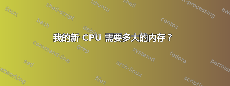 我的新 CPU 需要多大的内存？