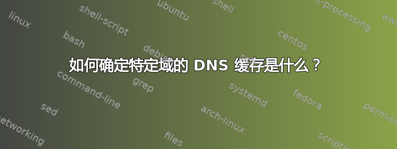 如何确定特定域的 DNS 缓存是什么？