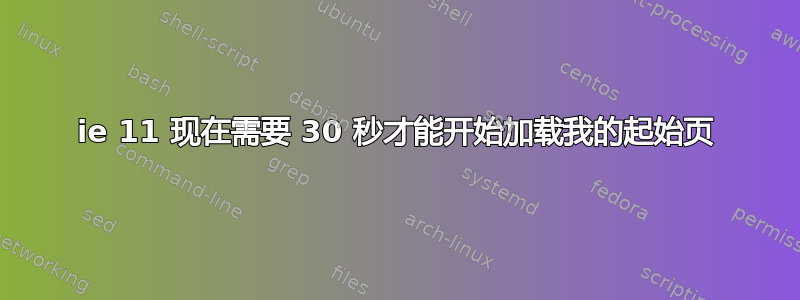 ie 11 现在需要 30 秒才能开始加载我的起始页