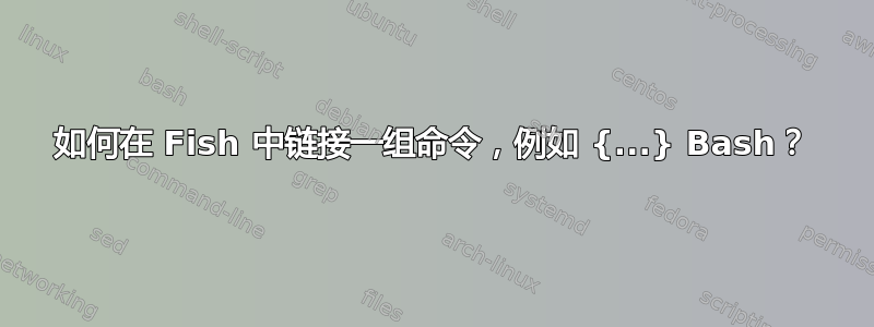 如何在 Fish 中链接一组命令，例如 {...} Bash？