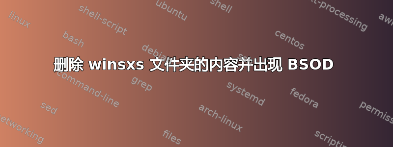 删除 winsxs 文件夹的内容并出现 BSOD