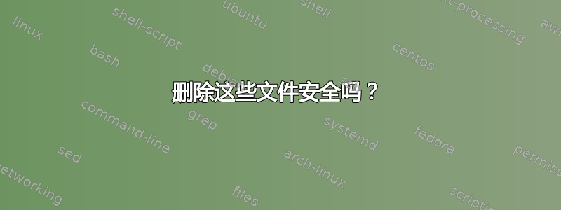 删除这些文件安全吗？