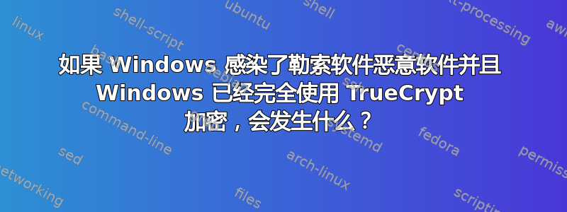 如果 Windows 感染了勒索软件恶意软件并且 Windows 已经完全使用 TrueCrypt 加密，会发生什么？