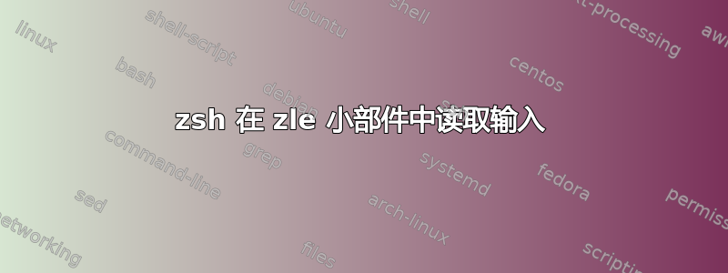 zsh 在 zle 小部件中读取输入