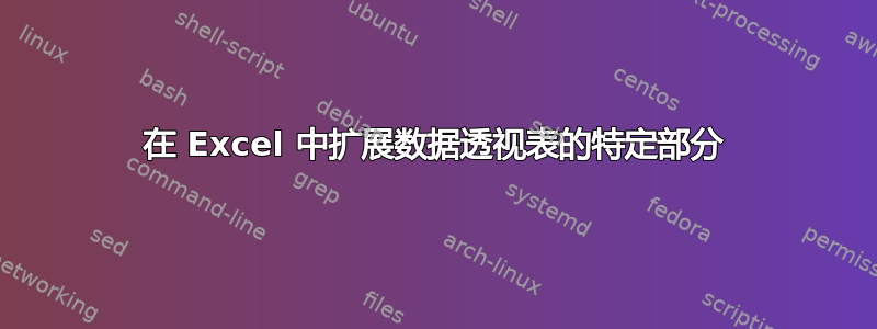 在 Excel 中扩展数据透视表的特定部分