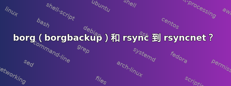 borg（borgbackup）和 rsync 到 rsyncnet？