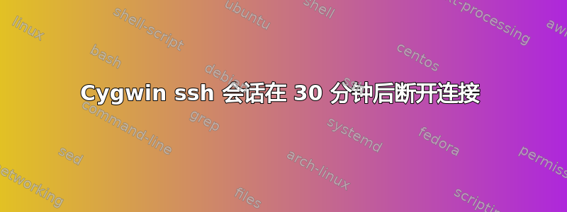 Cygwin ssh 会话在 30 分钟后断开连接