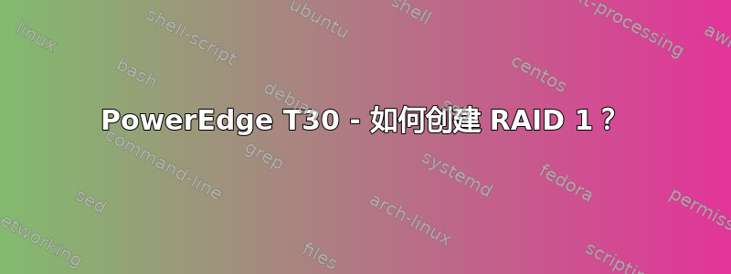 PowerEdge T30 - 如何创建 RAID 1？