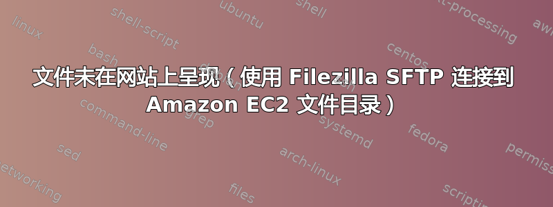 文件未在网站上呈现（使用 Filezilla SFTP 连接到 Amazon EC2 文件目录）