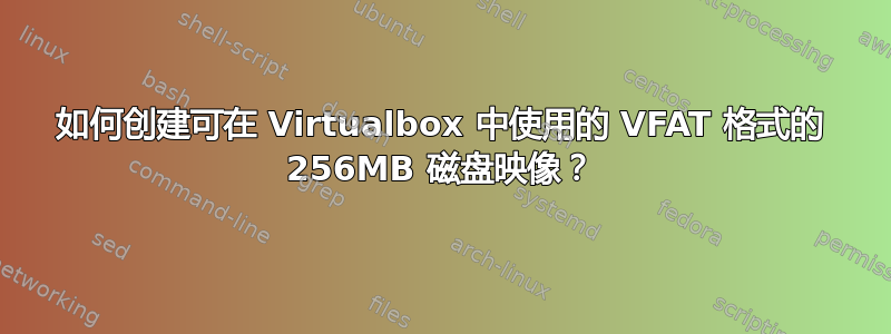 如何创建可在 Virtualbox 中使用的 VFAT 格式的 256MB 磁盘映像？