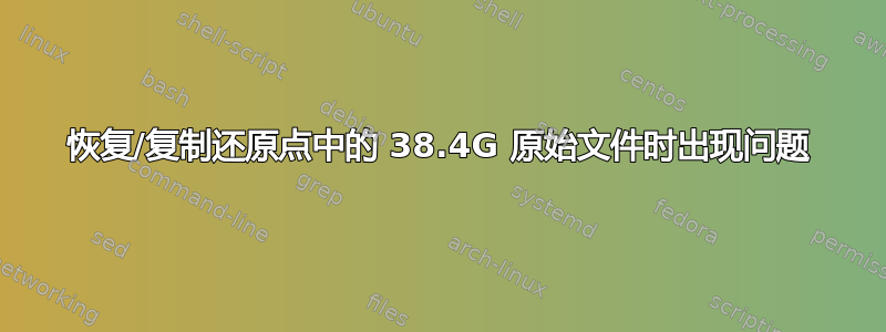 恢复/复制还原点中的 38.4G 原始文件时出现问题