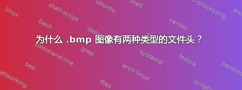 为什么 .bmp 图像有两种类型的文件头？