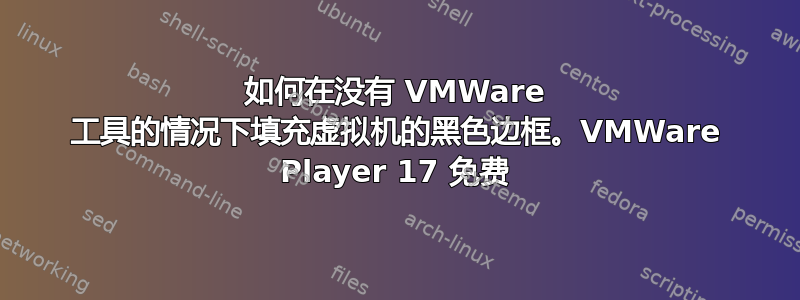 如何在没有 VMWare 工具的情况下填充虚拟机的黑色边框。VMWare Player 17 免费