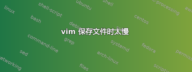 vim 保存文件时太慢