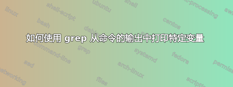 如何使用 grep 从命令的输出中打印特定变量