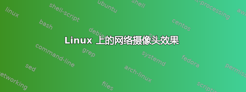 Linux 上的网络摄像头效果