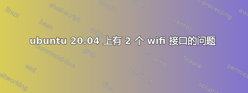 ubuntu 20.04 上有 2 个 wifi 接口的问题