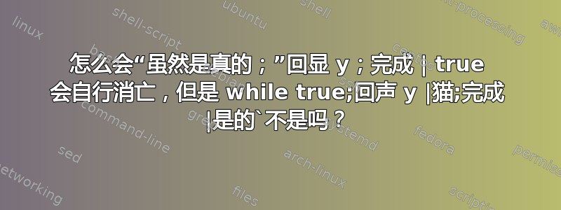 怎么会“虽然是真的；”回显 y；完成 | true 会自行消亡，但是 while true;回声 y |猫;完成 |是的`不是吗？