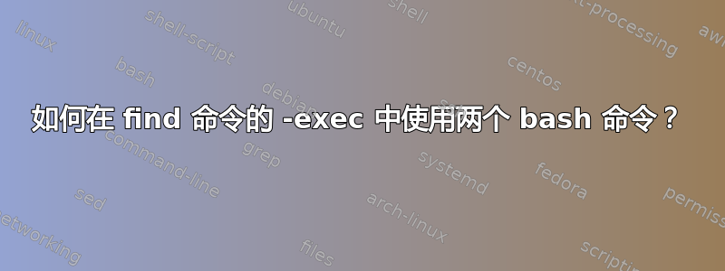 如何在 find 命令的 -exec 中使用两个 bash 命令？