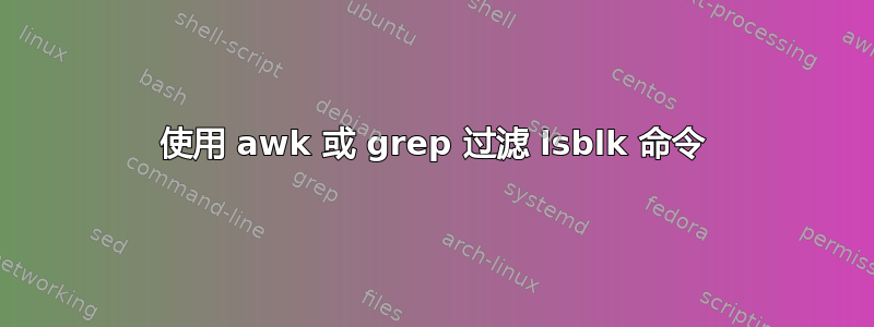 使用 awk 或 grep 过滤 lsblk 命令