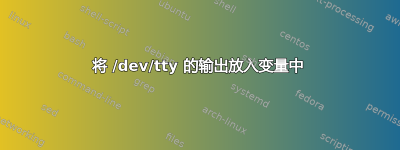 将 /dev/tty 的输出放入变量中