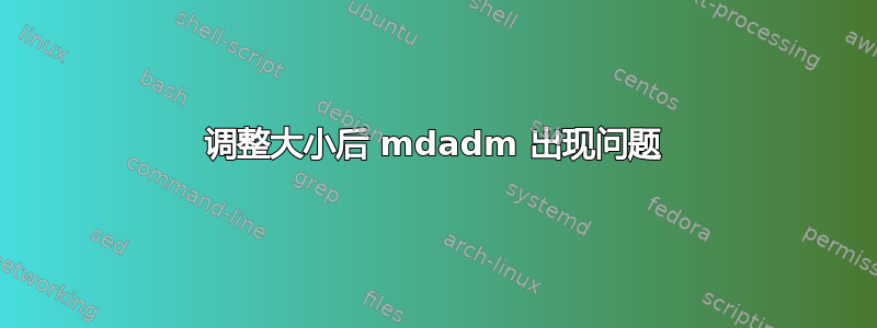 调整大小后 mdadm 出现问题