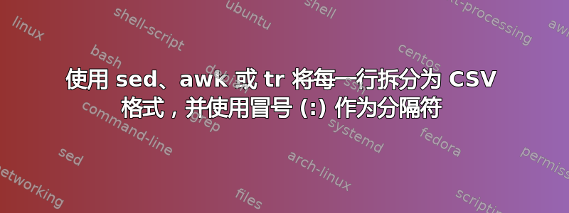 使用 sed、awk 或 tr 将每一行拆分为 CSV 格式，并使用冒号 (:) 作为分隔符