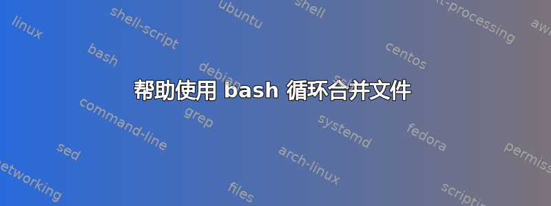 帮助使用 bash 循环合并文件