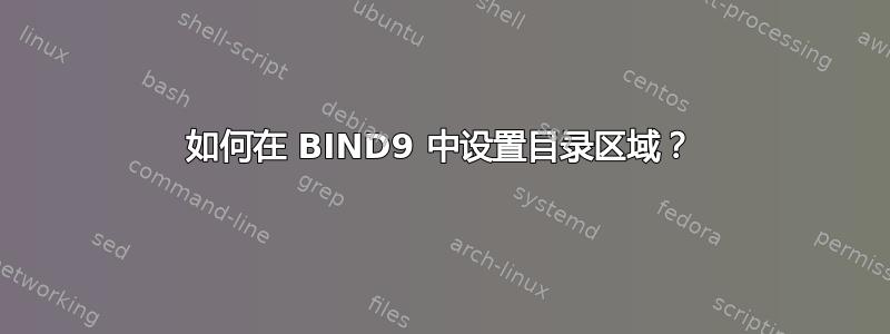 如何在 BIND9 中设置目录区域？