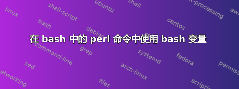 在 bash 中的 perl 命令中使用 bash 变量