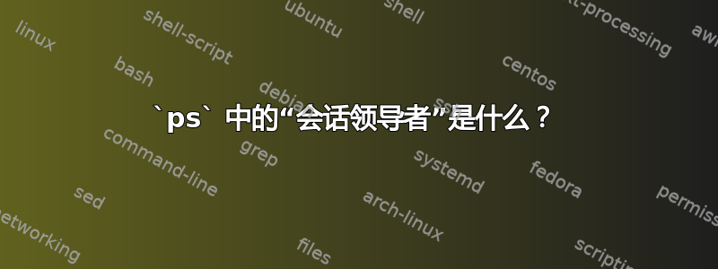 `ps` 中的“会话领导者”是什么？