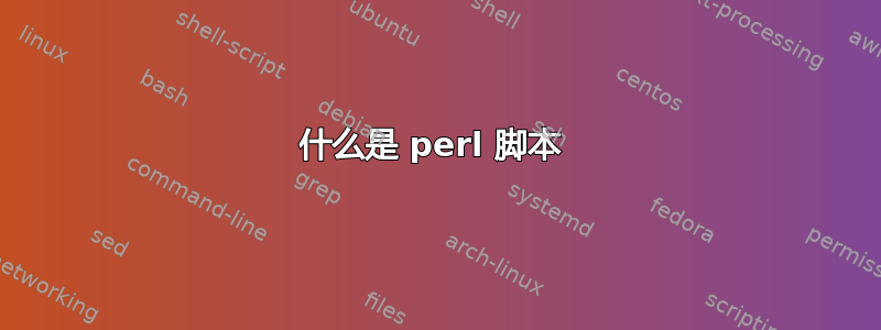 什么是 perl 脚本 