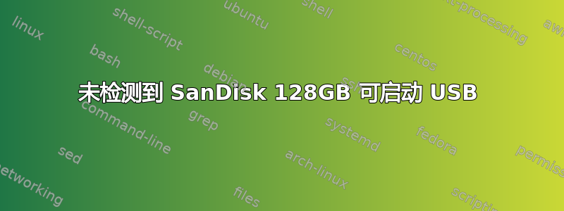 未检测到 SanDisk 128GB 可启动 USB