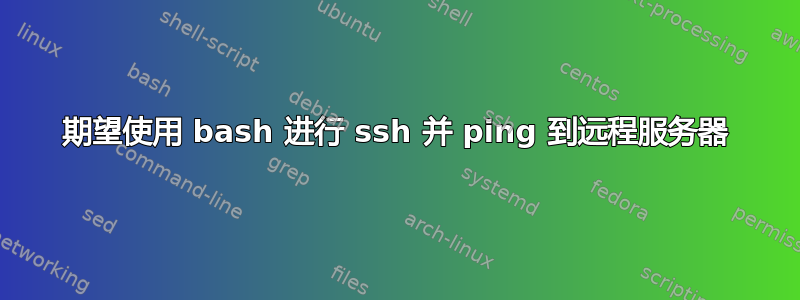 期望使用 bash 进行 ssh 并 ping 到远程服务器