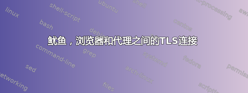 鱿鱼，浏览器和代理之间的TLS连接