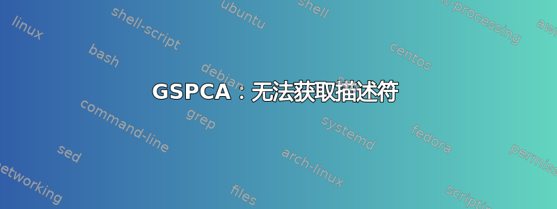 GSPCA：无法获取描述符